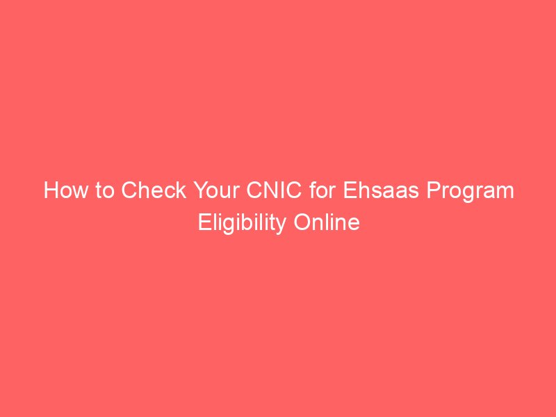 how to check your cnic for ehsaas program eligibility online 9016